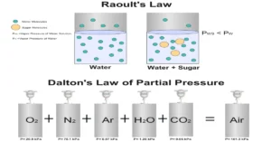Raoult’s vs. Dalton’s Law