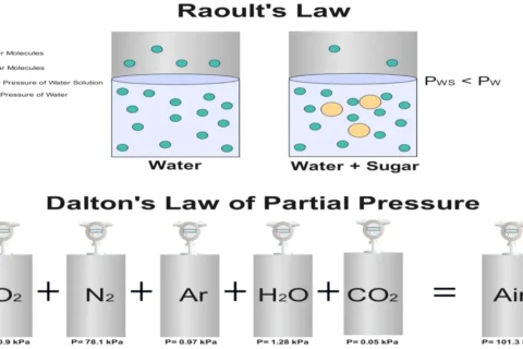 Raoult’s vs. Dalton’s Law