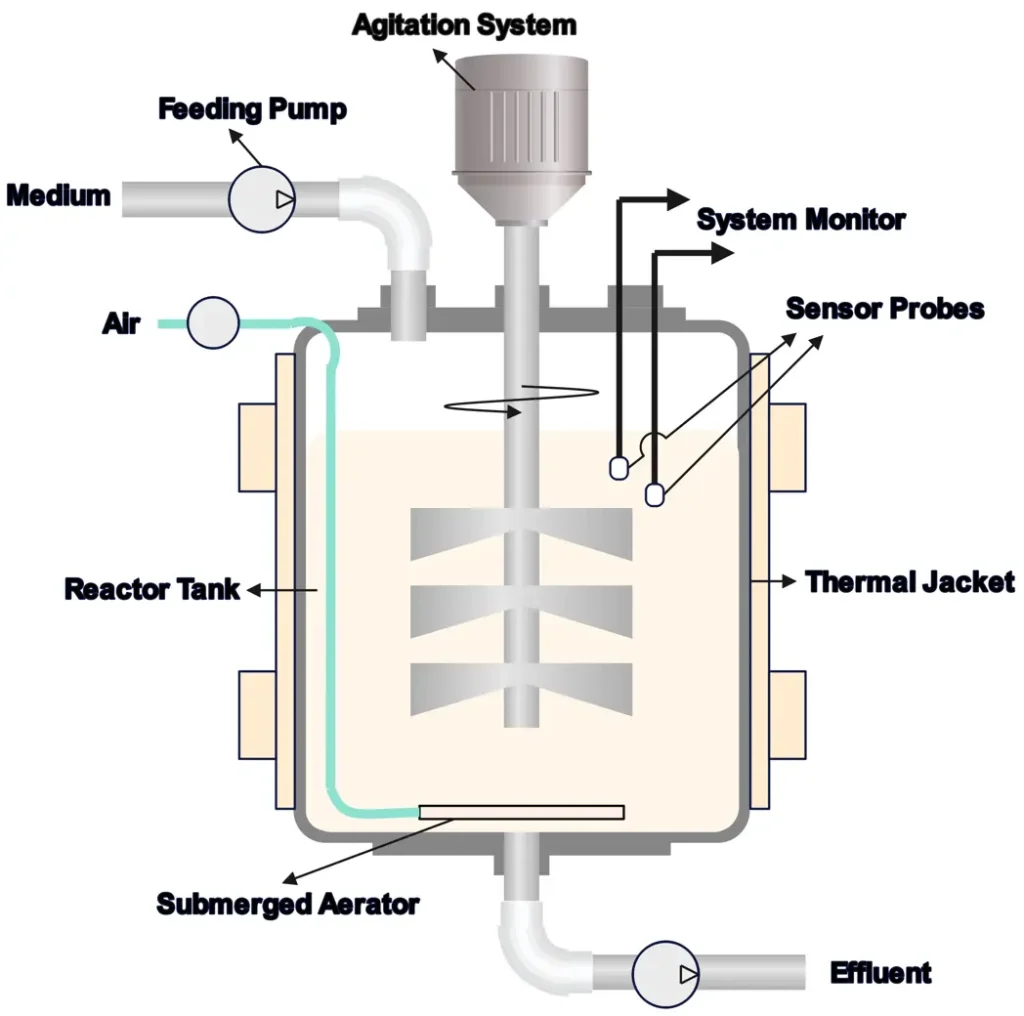Diagram Illustrating a BioReactor