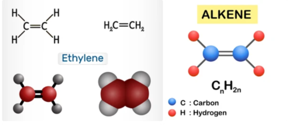 Alkenes-e1678199861319